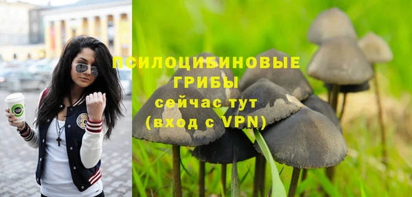 гидропоника Белоозёрский