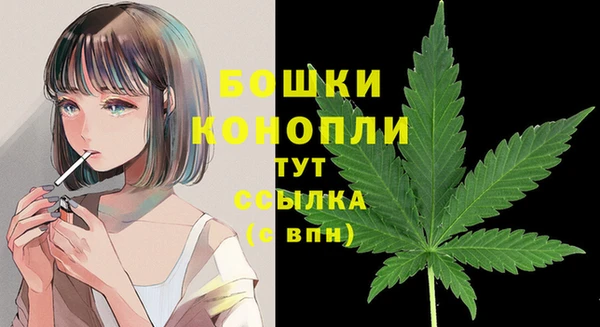 гидропоника Белоозёрский