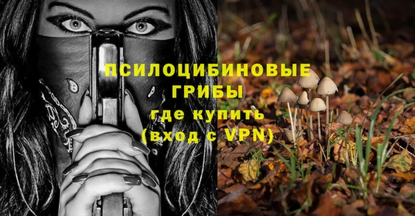 мдпв Беломорск